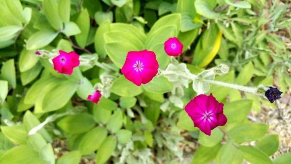 20150601_151746 copy.jpg